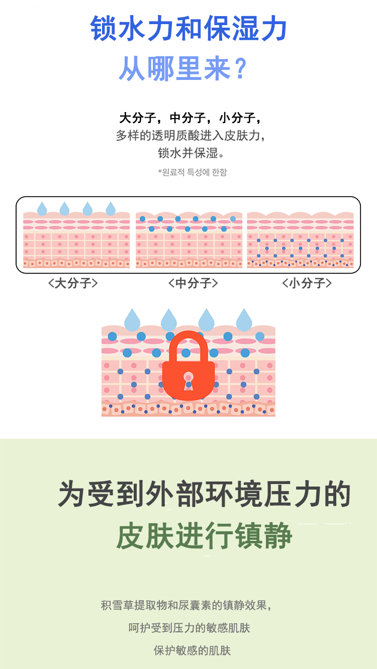 详情页整体图04.jpg